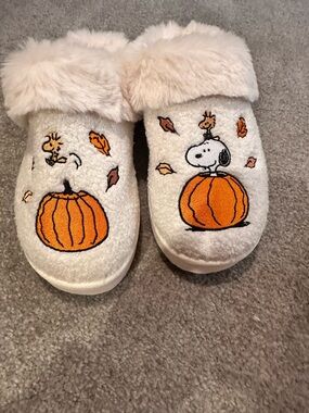 Snoopy slipperz